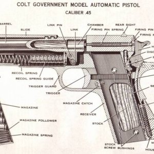 Cutaway  .45 Colt Govt. Model
