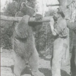 Wojtek