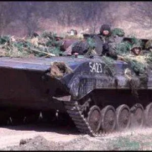 BMP-1-3n