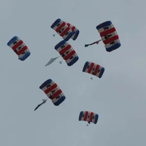 RAF Falcons