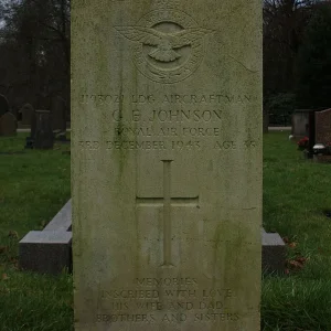 JOHNSON, George Edward