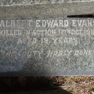 EVANS, Albert Edward