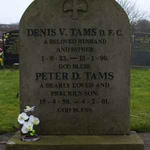 TAMS, Denis Vincent DSO