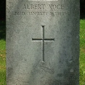 VOCE, Albert