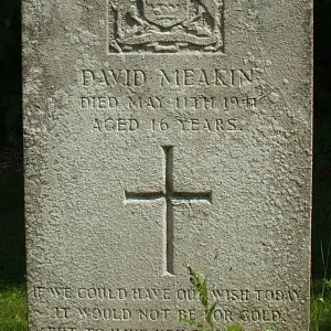 MEAKIN, David