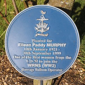 Eileen Paddy Murphy