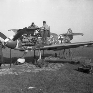 Bf 109F Fighter