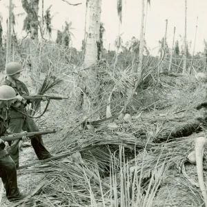 American Troops in the Pacific