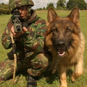 RAF Police Dog Team