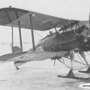 Gloster Gamecock Mk II