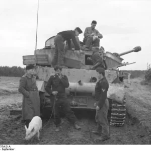 Bundesarchiv_Bild_101I-087-3675A-21A_Russland_Panzer_IV