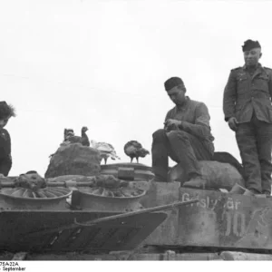 Bundesarchiv_Bild_101I-087-3675A-22A_Russland_Panzersoldaten_auf_Panzer_IV