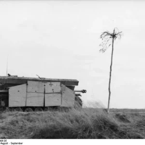 Bundesarchiv_Bild_101I-154-1986-05_Russland_Sturmgesch_tz_III_mit_Seitensch