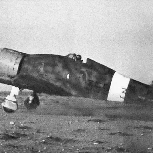 German FW190