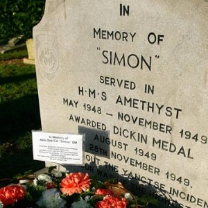 Simon the cat HMS Amethyst Grave