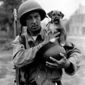 US Soldier and Orphan pup WW2