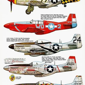 P51 Mustang Variants