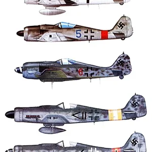 Focke Wulf variants