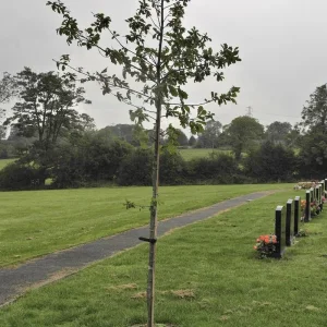 Oak Tree Memorial WW2