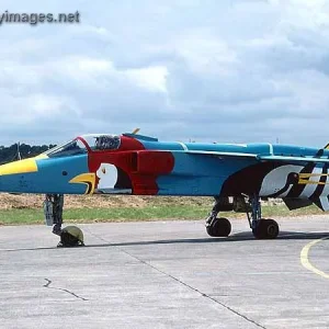 Jaguar of the French Air Force