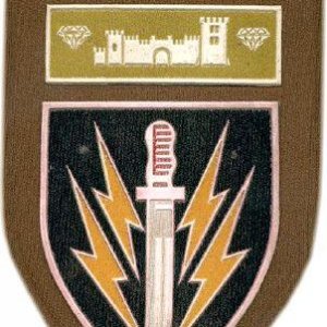 61st Mechanised Infantry Battalion