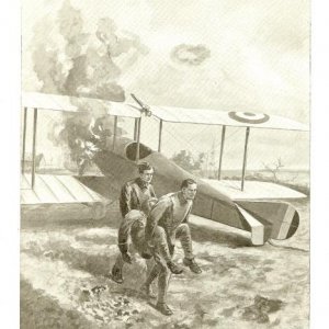 Royal Flying Corps DCM's