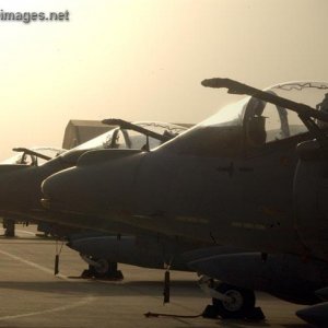RAF Harriers