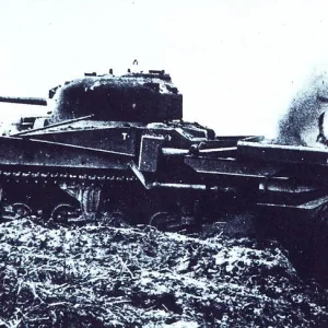 Sherman Flail Tank