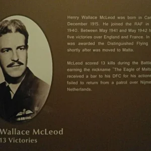 Henry Wallace McLEOD