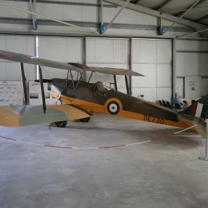 Tiger Moth