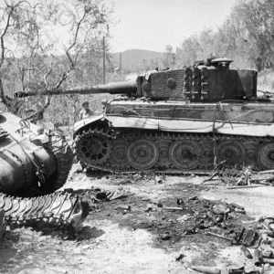 Tiger and Sherman Tanks destroyed