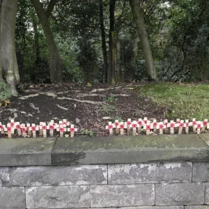 Hartshill Churchyard, Stoke-on-Trent, Staffs Poppy Crosses