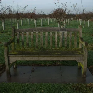 Eric Henry Moss and Stephen Moss  Memorial Seat