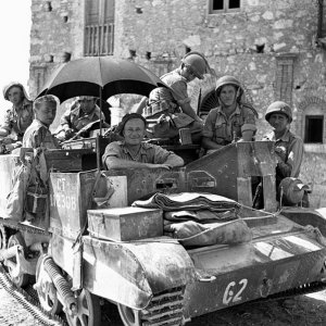 Loyal Edmonton Regiment, Sicily 1943