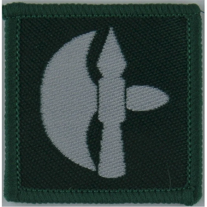 102 Logistic Brigade Battle Axe Insignia