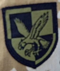 16 Air Assault Brigade Subdued