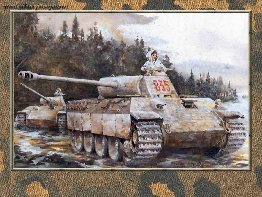 5th SS Panzer Division Wiking | A Military Photos & Video Website