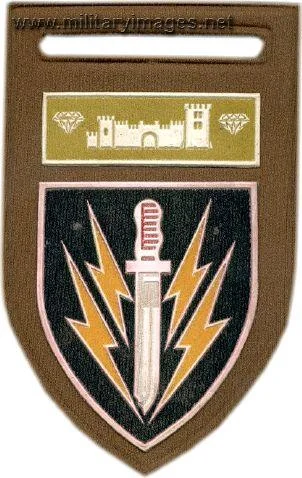 61st Mechanised Infantry Battalion