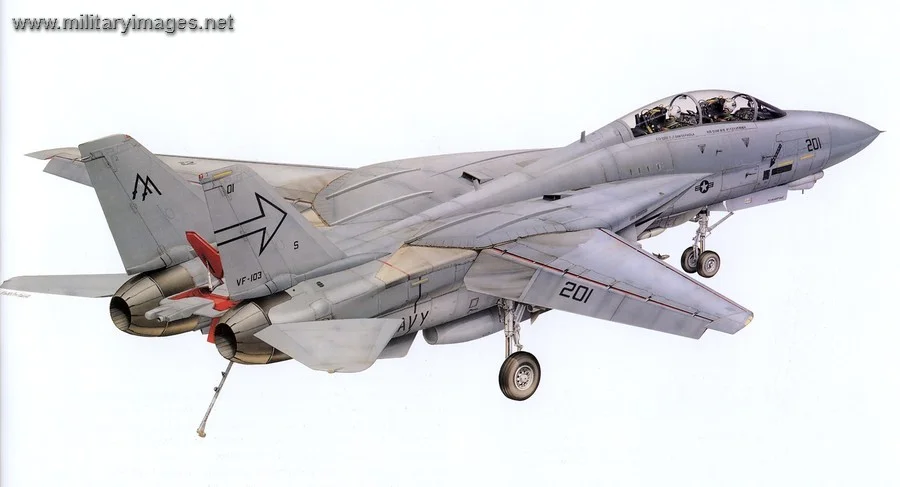 81-Grumman-F-14A_Tomcat