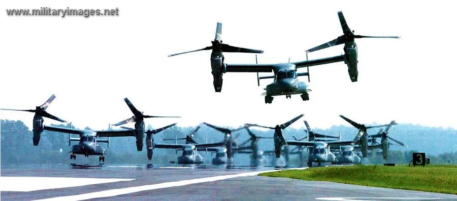 A Flock of Ospreys