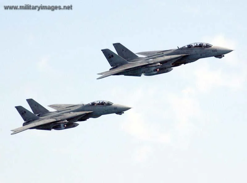 A Pair of F 14 Tomcats