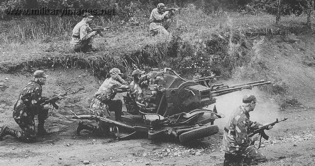 AA-gun team in defence