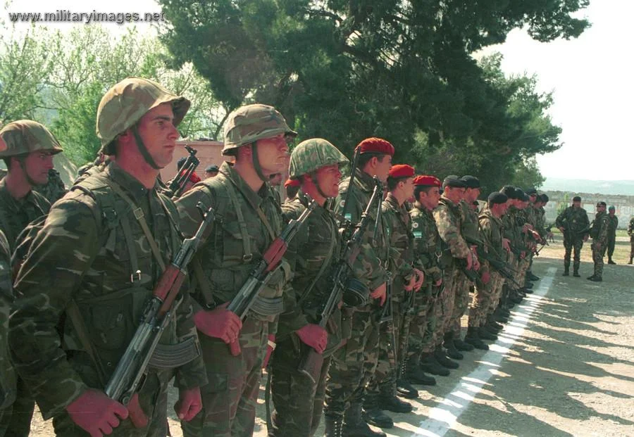 Albanian, Argentinian and Italian troops