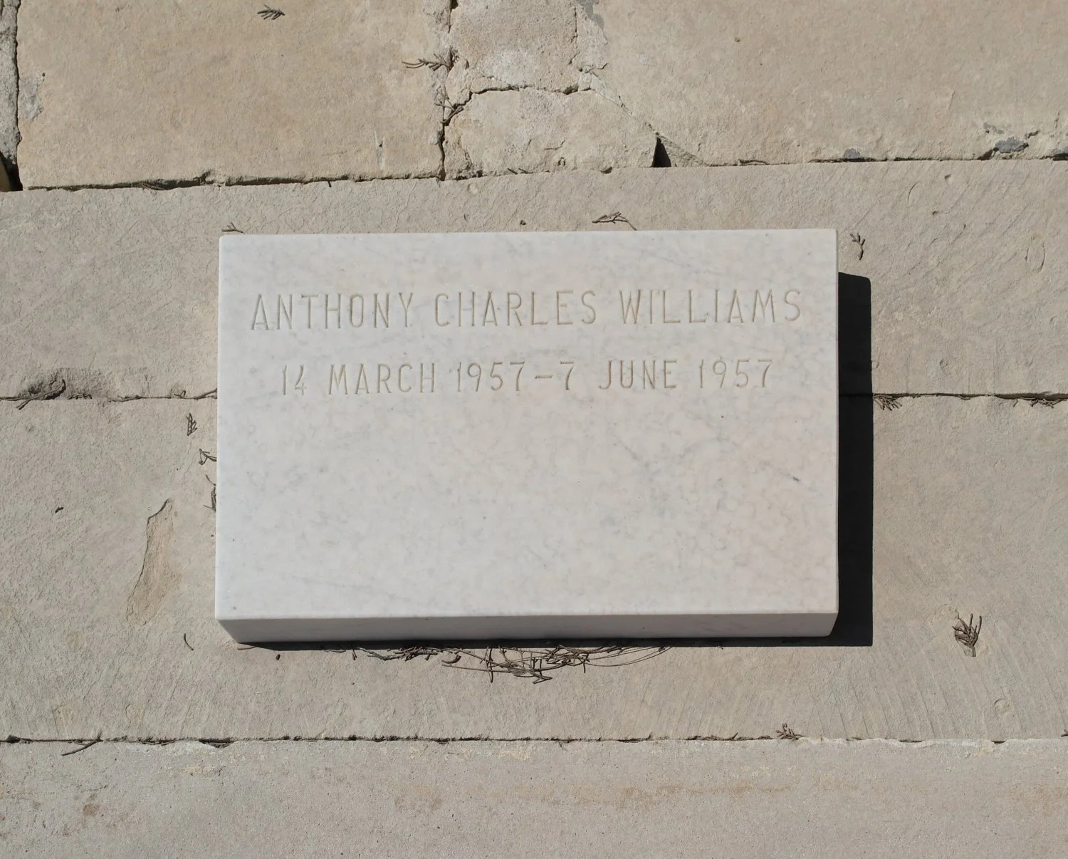 Anthony Charles WILLIAMS