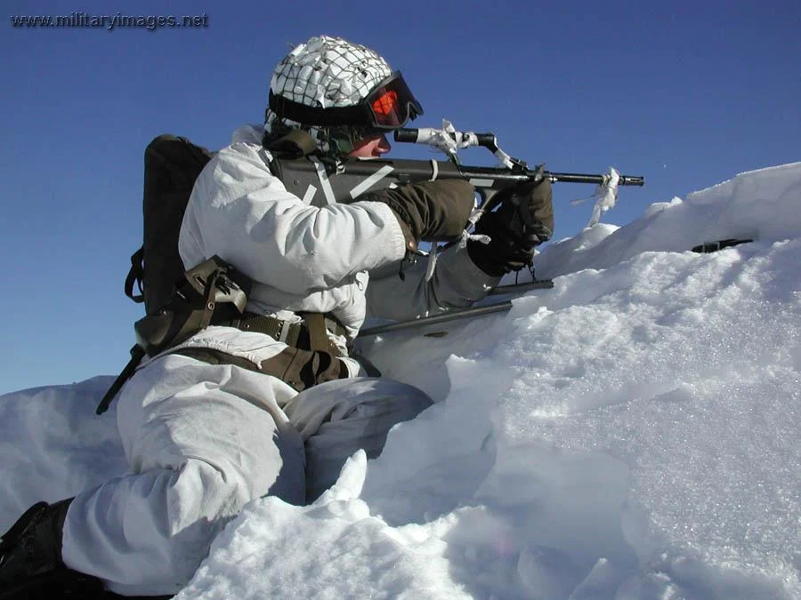 Austrian Armed Forces