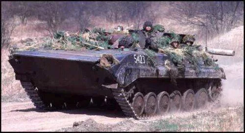 BMP-1-3n