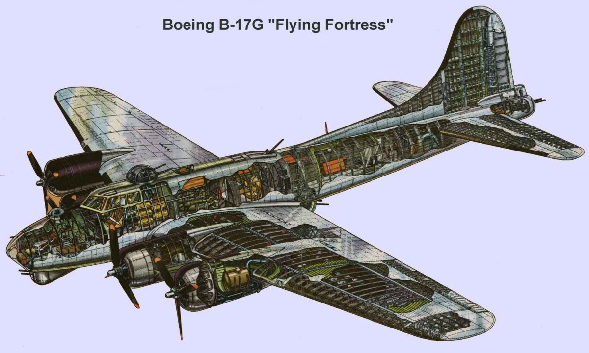Boeing B-17G Flying Fortress cutaway