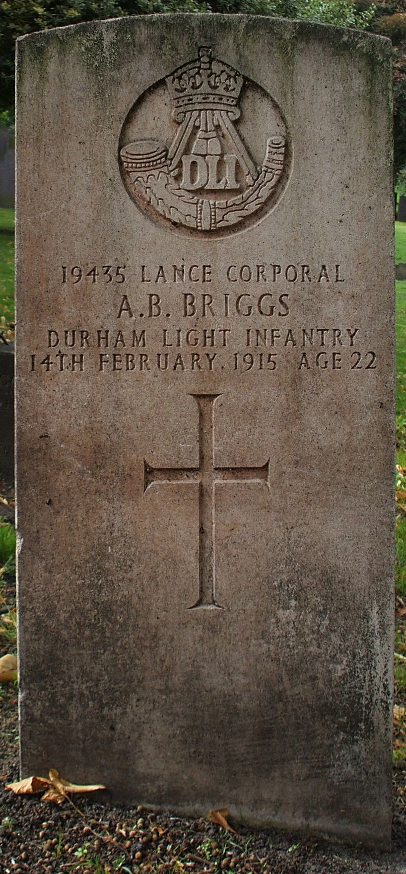 Briggs Andrew Bell