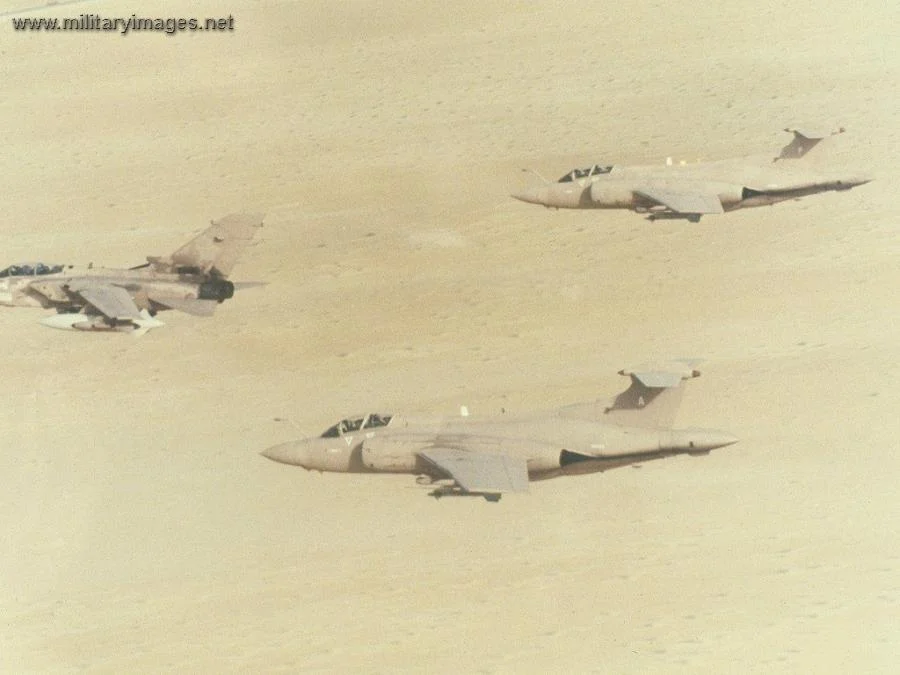 Buccaneers, Gulf 1 1991