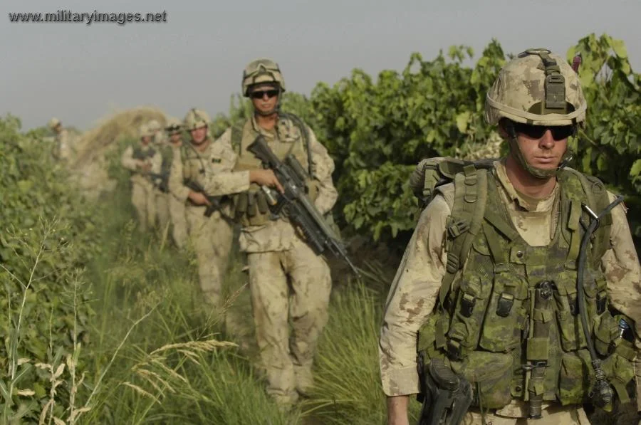 Canadian soldiers advance through fields | A Military Photo & Video Website